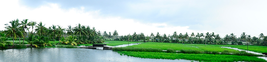 Pizhala Pokkali Tourism
