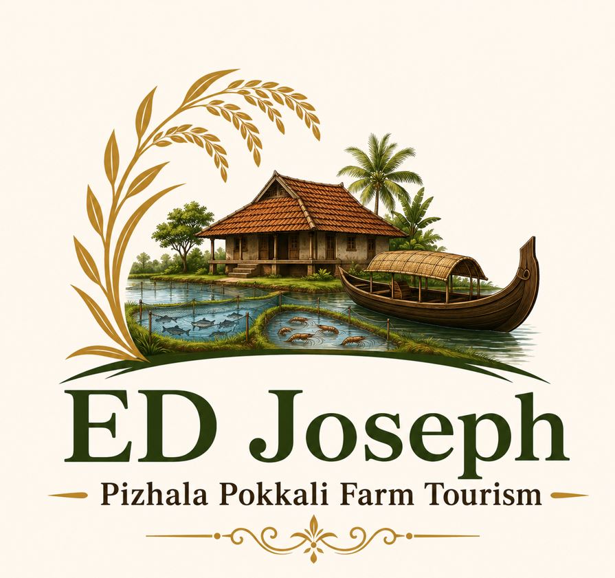 Pizhala Pokkali Tourism